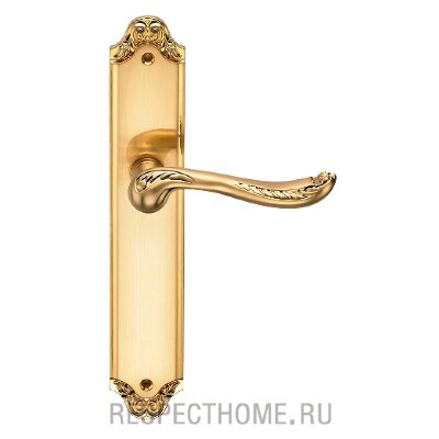 Дверная ручка Archie Genesis Acanto S.Gold