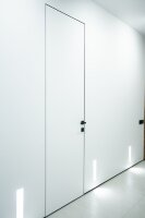 Скрытая дверь Graphiс 40, полотно РЕВЕРС грунт, левое, анодированный алюминий